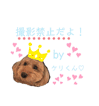 けりたん♥️るーたん①（個別スタンプ：36）