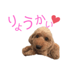 けりたん♥️るーたん①（個別スタンプ：38）