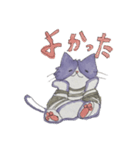 ゆるい猫のどんすこ（個別スタンプ：6）