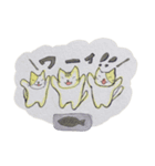 ゆるい猫のどんすこ（個別スタンプ：19）