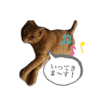 ちゃちゃのスタンプ70（個別スタンプ：5）