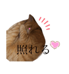 ちゃちゃのスタンプ70（個別スタンプ：14）