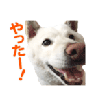 ちなさんず フィーバー（個別スタンプ：2）