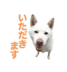 ちなさんず フィーバー（個別スタンプ：5）