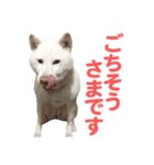 ちなさんず フィーバー（個別スタンプ：6）
