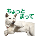 ちなさんず フィーバー（個別スタンプ：14）