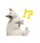 ちなさんず フィーバー（個別スタンプ：23）
