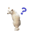 ちなさんず フィーバー（個別スタンプ：24）