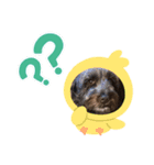 ベイクスタンプ（個別スタンプ：5）