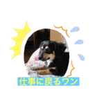 エルくんと一緒（個別スタンプ：16）