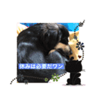 エルくんと一緒（個別スタンプ：21）