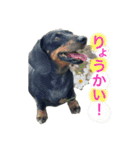 てんてんとピノとペコ（個別スタンプ：1）