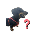 てんてんとピノとペコ（個別スタンプ：13）