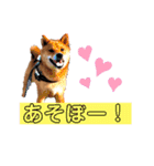 こげまる（個別スタンプ：1）