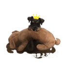 Miu_COCO（個別スタンプ：3）