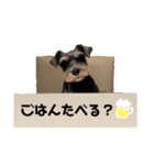 Miu_COCO（個別スタンプ：5）