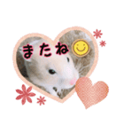 はるちゃんの気持ち❤️（個別スタンプ：7）