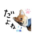 ころんコロコロ(2)（個別スタンプ：2）