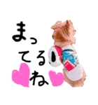 ころんコロコロ(2)（個別スタンプ：4）
