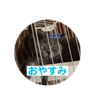 れおこり（個別スタンプ：3）