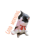 れおこり（個別スタンプ：5）