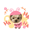 アズキスタンプ2（個別スタンプ：2）