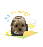 アズキスタンプ2（個別スタンプ：5）
