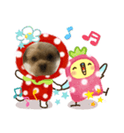 アズキスタンプ2（個別スタンプ：7）