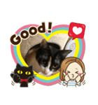 三毛猫ミナちゃん③（個別スタンプ：3）