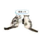 sol 'n' luna stanp（個別スタンプ：1）