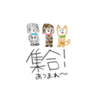 はすみ画伯 犬part1（個別スタンプ：8）