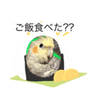 インコふぁみりー（個別スタンプ：3）