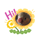 インコふぁみりー（個別スタンプ：7）