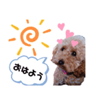 ここのハッピースタンプ（個別スタンプ：1）