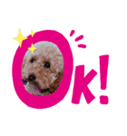 ここのハッピースタンプ（個別スタンプ：4）