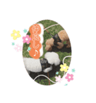 ロイとモアのスタンプ（個別スタンプ：5）