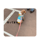 チップとパルム（個別スタンプ：7）
