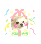 ゆるかわももちゃん2（個別スタンプ：3）