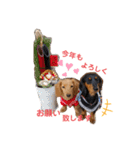 I LOVE ミニチュアダックス（個別スタンプ：4）