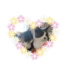 ラブラブにゃんこ（個別スタンプ：3）