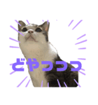 ぴーすけ！と一緒（個別スタンプ：2）