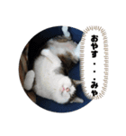 ぴーすけ！と一緒（個別スタンプ：4）