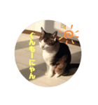 ぴーすけ！と一緒（個別スタンプ：5）