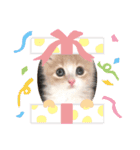ニャーオ（個別スタンプ：1）