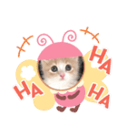 ニャーオ（個別スタンプ：5）