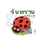 かわいい☆日本語とタイ語スタンプ（個別スタンプ：14）