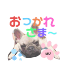 フレバビスタンプU´•ﻌ•`U（個別スタンプ：1）