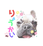 フレバビスタンプU´•ﻌ•`U（個別スタンプ：4）