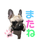 フレバビスタンプU´•ﻌ•`U（個別スタンプ：5）