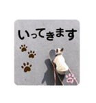 フレバビスタンプU´•ﻌ•`U（個別スタンプ：6）